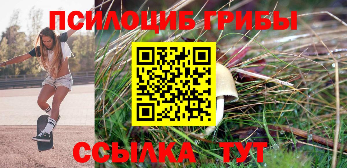 Дубна  Галлюциногенные грибы GOLDEN TEACHER  Вход с VPN 